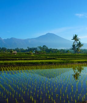 Lombok & Gili Islands